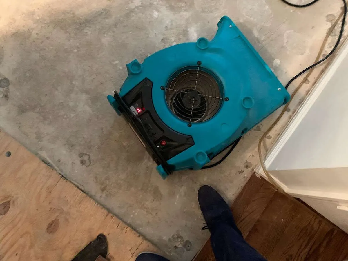Air mover drying subfloor during Leak Detection & Repair in Port Arthur